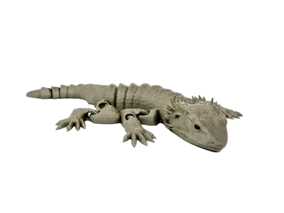 Flexi Bearded Dragon Fidget