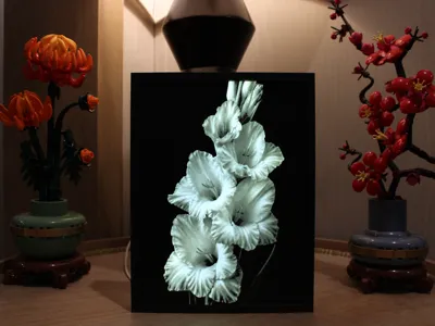 Gladiolus Bloom Lithophane