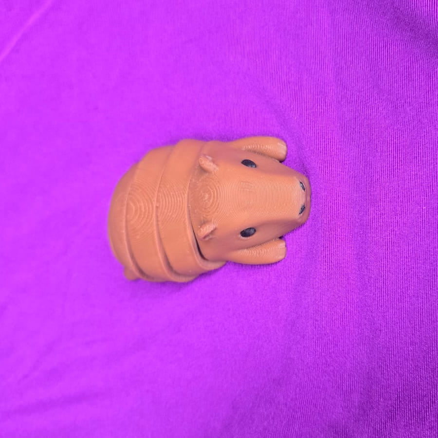 Capybara