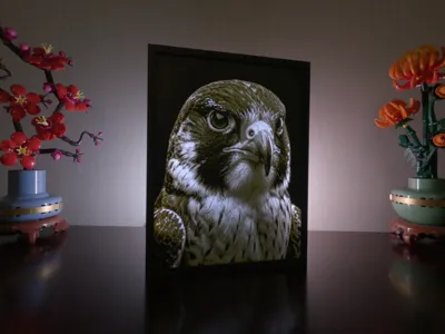 Falcon Portrait Lithophane