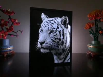 White Tiger Portrait Lithophane