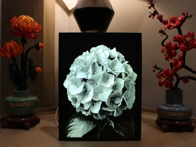 Hydrangea Bloom Lithophane
