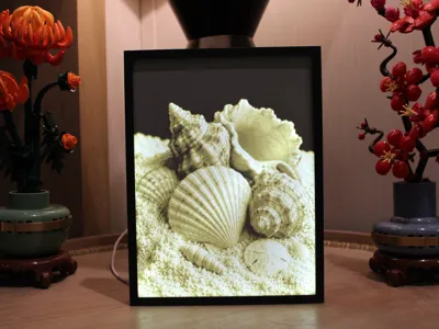 Seashells Lithophane